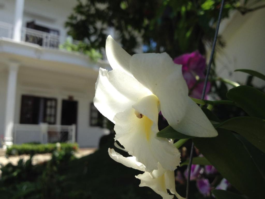 Suncosy Central Hotel Phu Quoc Exterior foto